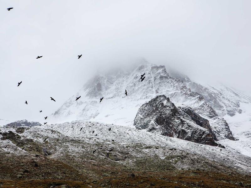 sudoku skill improvement screenshot 4